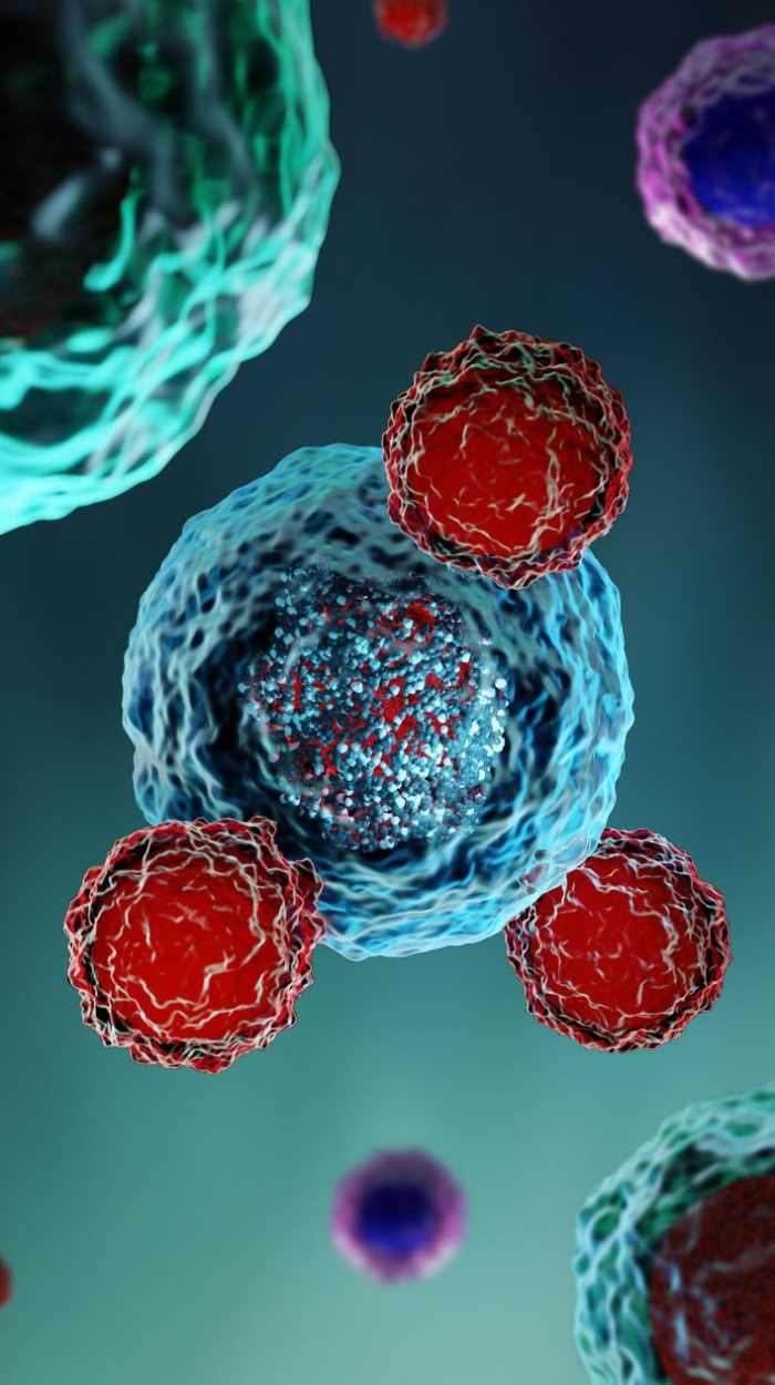 Illustratie van T-cellen die een kankercel aanvallen. (foto shutterstock).